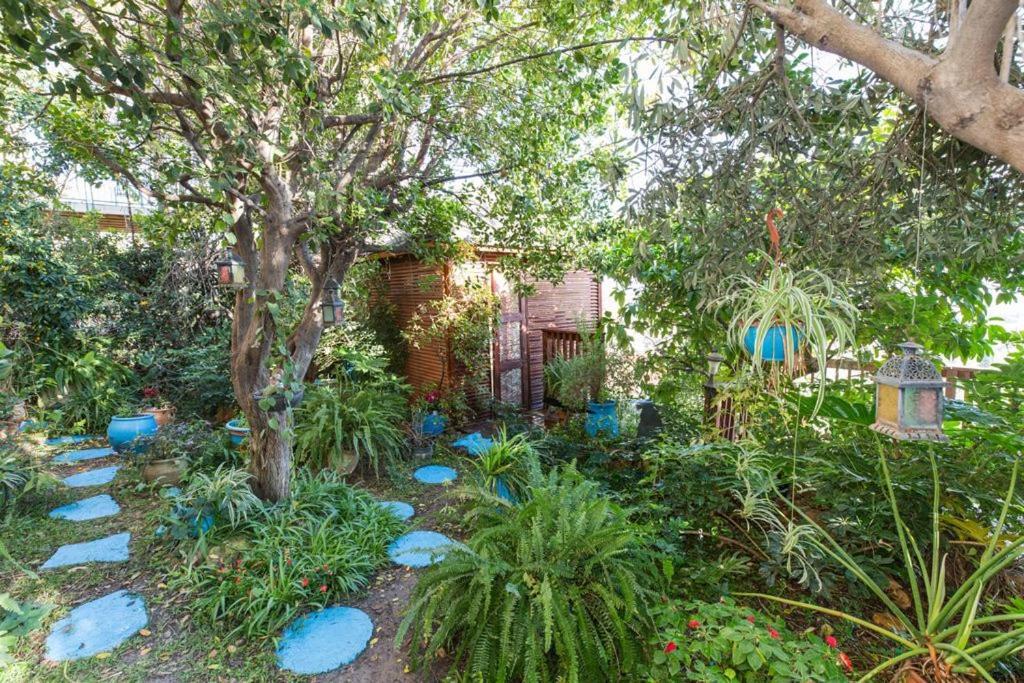 Havaya Ba Nof Lodge Rosh Piná Exterior foto